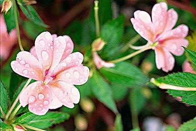 《EA SPORTS PGA TOUR》Steam页面上线 国区售价298元